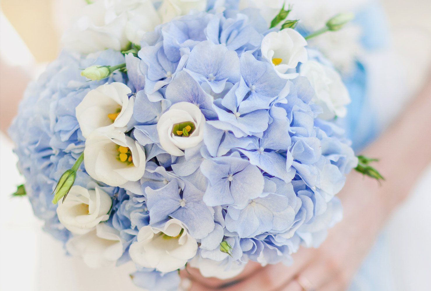 10 najpopularniejszych gatunków kwiatów na ślub – Kwiaciarnia u Aldony
